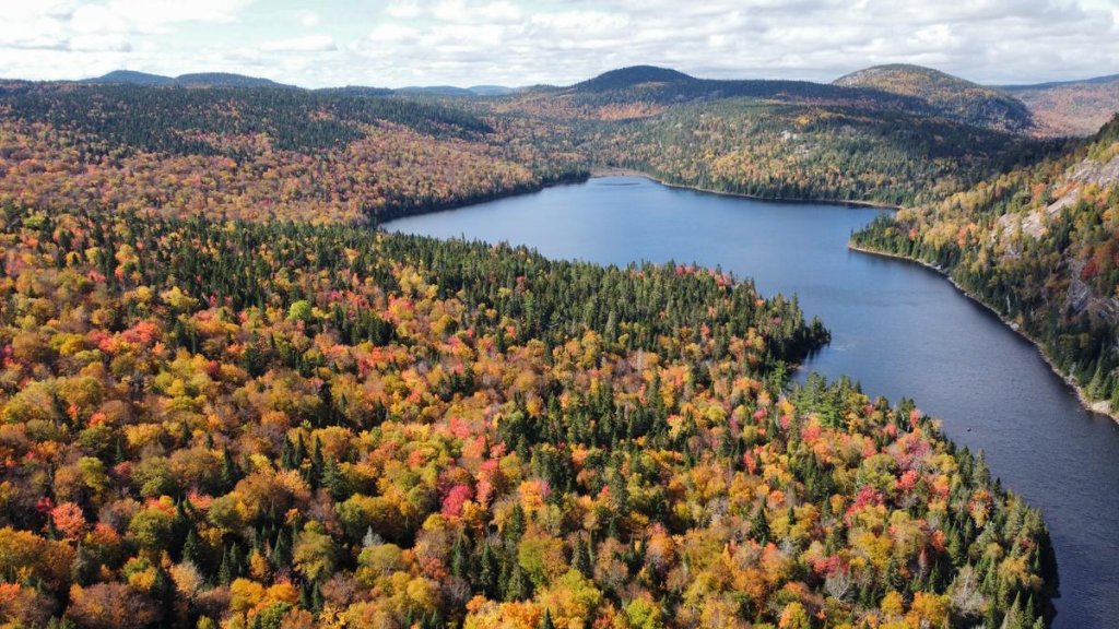 Vue aérienne du lac Rémi entouré de forêts aux couleurs d'automne, depuis le mont Brassard au parc régional des Sept-Chutes